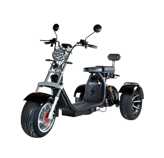 Ремонт CityCoco TRIKE PRO 12